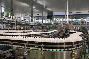 漢川農產品加工直奔500億元